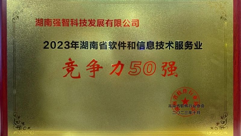 上海IT咨询公司收费，揭秘背后的定价逻辑
