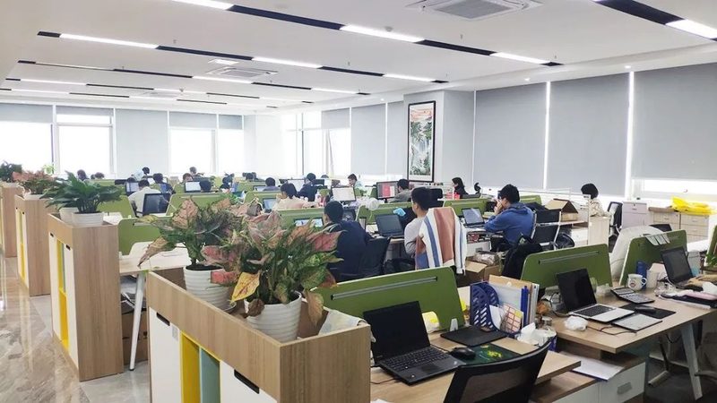 软件采购授权方式的揭秘：选择之道